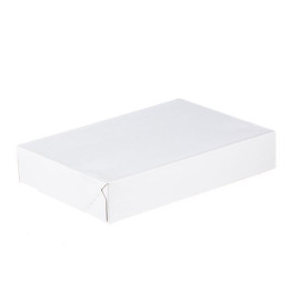 20 st. Postæsker 250x200x60 mm hvid