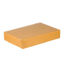 20 stk Papkasser 306x213x55 mm Brun